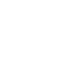 business image